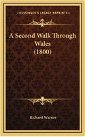 A Second Walk Through Wales (1800)