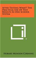 After Testing What? the Practical Use of Test Results in One School System