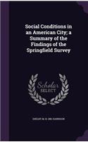 Social Conditions in an American City; a Summary of the Findings of the Springfield Survey