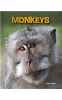 Monkeys