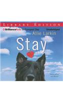 Stay