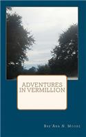 Adventures in Vermillion