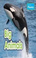 Big Animals