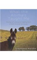 What the Animals Taught Me