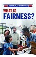 What Is Fairness?: (Principles of Democracy)