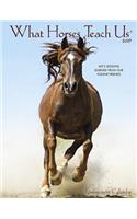 What Horses Teach Us 2019 Engagement Calendar