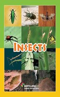 Insects