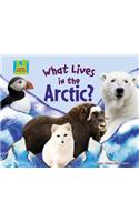 What Lives in the Arctic?