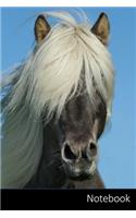 Notebook: Caballo Cuaderno - Diario - Libro de escritura - Notas - 6 x 9 (15.24 x 22.86 cm), 110 páginas, superficie brillante.