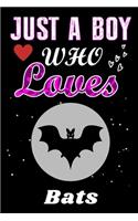 Just a Boy who loves Bats