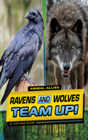 Ravens and Wolves Team Up!