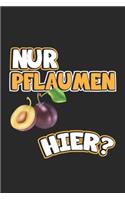 Nur Pflaumen hier?: Monatsplaner, Termin-Kalender mit lustigem Spruch - Geschenk-Idee für Komiker & Pubertierende - A5 - 120 Seiten