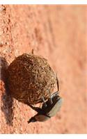 Dung Beetle on a Roll Journal