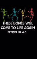 These Bones Will Come to Life Again Ezekiel 37