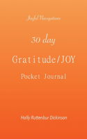 30 day Gratitude/JOY Pocket Journal