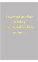 I Survived Another Meeting That Should