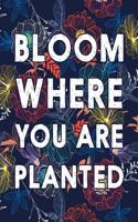 Bloom Where You Are Planted