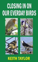 Closing in on Our Everyday Birds