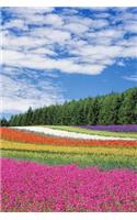 Field of Flowers the Colors of the Rainbow Journal: Take Notes, Write Down Memories in this 150 Page Lined Journal