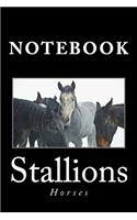 Stallions