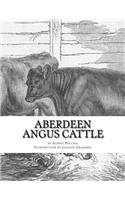 Aberdeen Angus Cattle