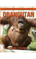 Orangutan