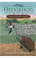 Hedgehog of Moon Meadow Farm