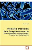 Bioplastic production from inexpensive sources