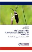 Click-Beetles (Coleoptera