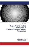 Kapur's and Tsalli's Entropies: A Communication System Perspective