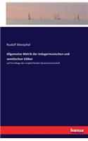 Allgemeine Metrik der indogermanischen und semitischen Völker