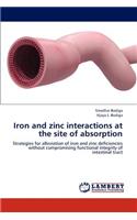 Iron and Zinc Interactions at the Site of Absorption