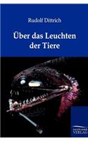 Über das Leuchten der Tiere