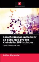 Caracterização molecular da ESBL que produz Klebsiella SPP isolados