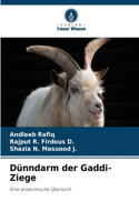 Dünndarm der Gaddi-Ziege