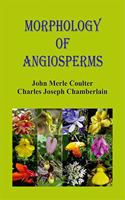 Morphology of Angiosperms