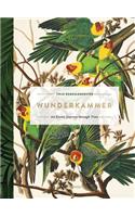 Wunderkammer