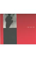 Chien-Chi Chang: I Do, I Do, I Do