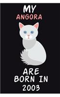 My ANGORA Cat Are Born In 2003