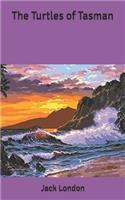 The Turtles of Tasman