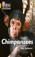 Chimpanzees