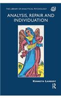 Analysis, Repair and Individuation