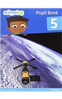 Science Bug Pupil Book Year 5