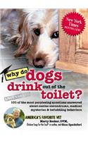 Why Do Dogs Drink Out of the Toilet?: 101 of the Most Perplexing Questions Answered about Canine Conundrums, Medical Mysteries & Befuddling Behaviors