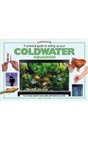 A Practical Guide to Setting Up Your Cold Water Aquarium