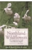 Northland Wildflowers