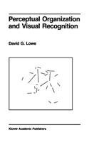 Perceptual Organization and Visual Recognition