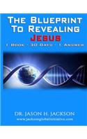 Blueprint To Revealing Jesus