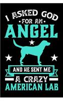 I Asked God For An Angel And He sent Me A Crazy American Lab: Gifts for Dog Owners 100 page 6 x 9 Daily journal to jot down your ideas and notes