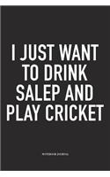 I Just Want to Drink Salep and Play Cricket: A 6x9 Inch Matte Softcover Notebook Diary with 120 Blank Lined Pages and a Funny Sports Fanatic Cover Slogan